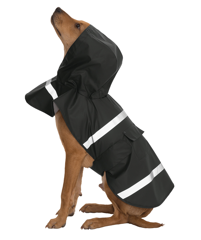 Charles river sales dog raincoat