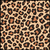Leopard Prt swatch