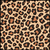 Leopard Print swatch